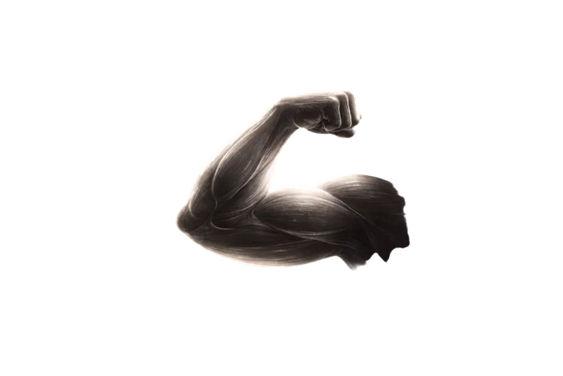 Muscle Performance