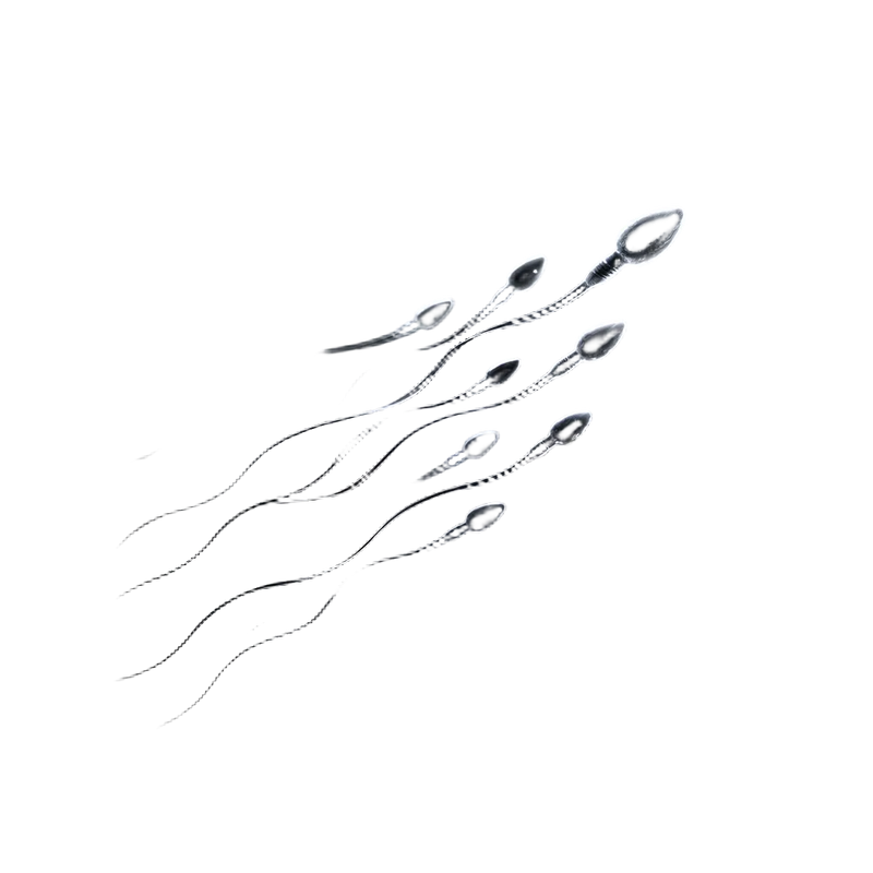 Reproductive Health