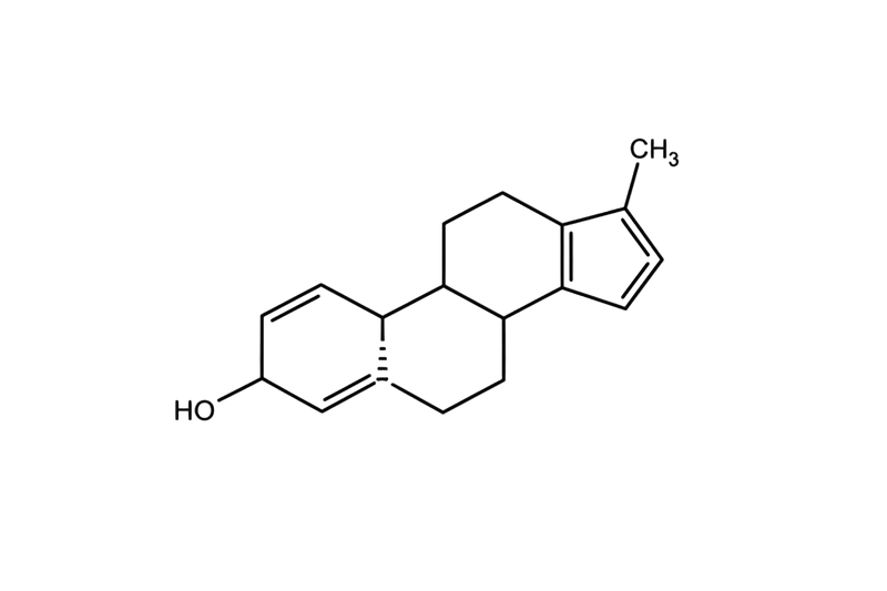 Testosterone Support